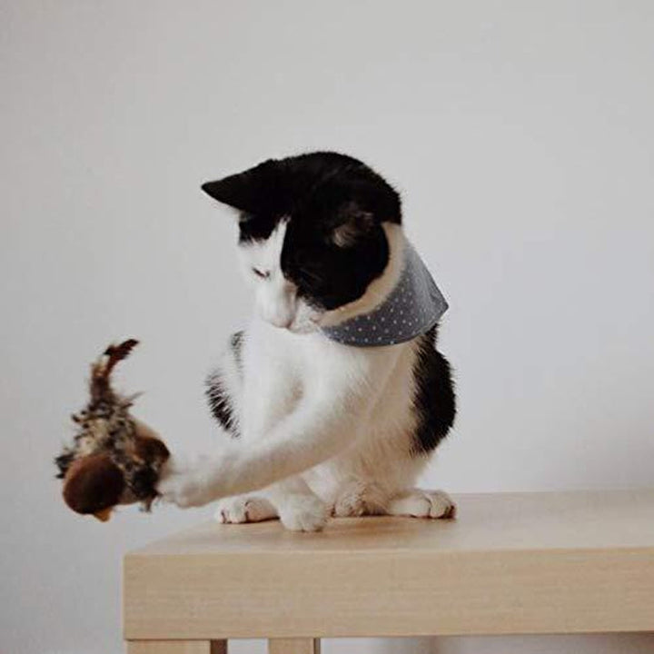 50% RABATT | BirdToy™ - Der sichere Spielgefährte für Ihre Katze! [Letzter Tag Rabatt]