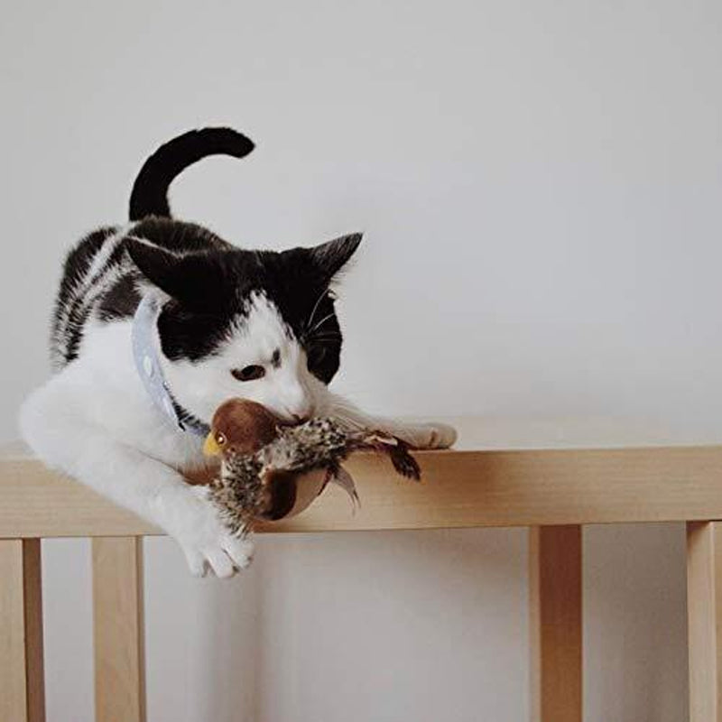50% RABATT | BirdToy™ - Der sichere Spielgefährte für Ihre Katze! [Letzter Tag Rabatt]