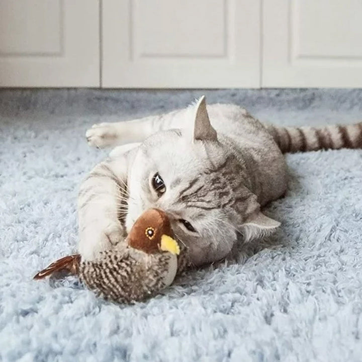 50% RABATT | BirdToy™ - Der sichere Spielgefährte für Ihre Katze! [Letzter Tag Rabatt]