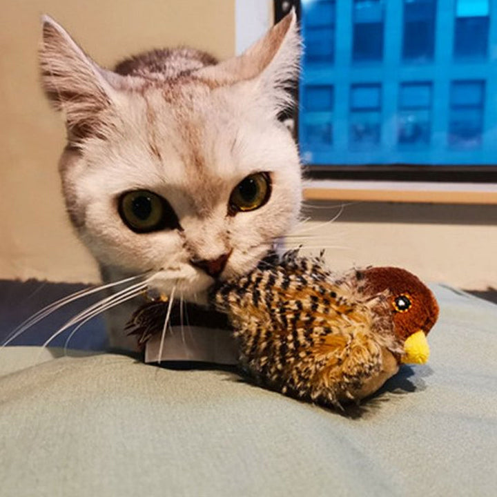 50% RABATT | BirdToy™ - Der sichere Spielgefährte für Ihre Katze! [Letzter Tag Rabatt]