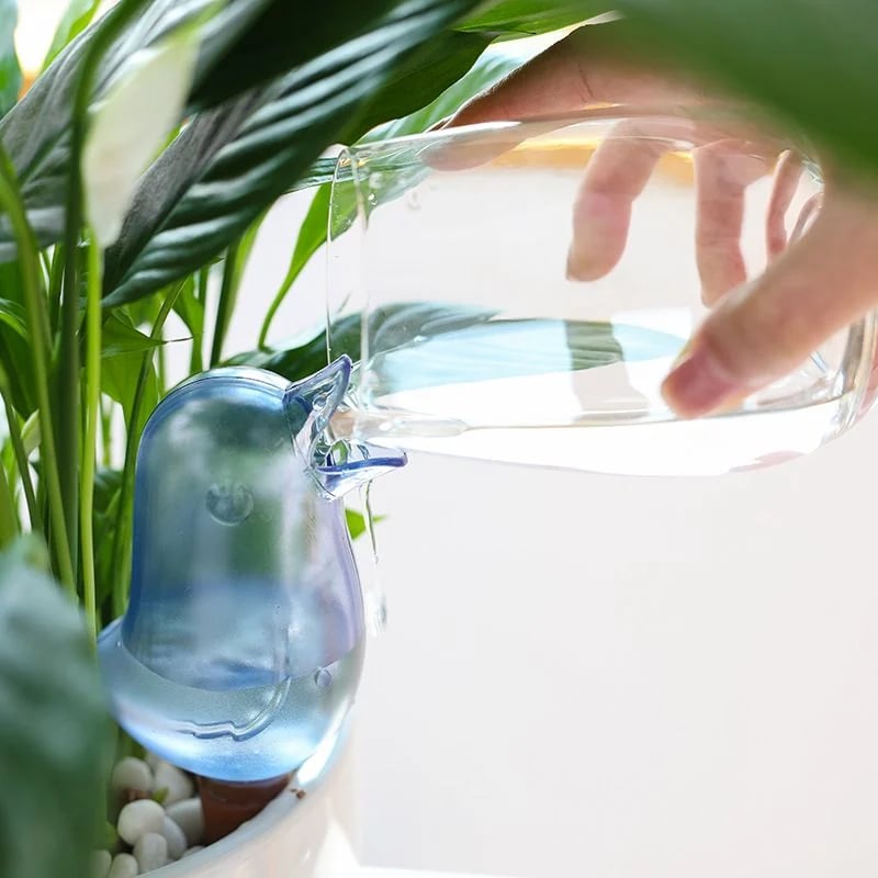 2+1 GRATIS | BloomFeeder - Automatischer Blumengießer Typ Vogelhäuschen