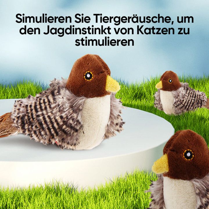 50% RABATT | BirdToy™ - Der sichere Spielgefährte für Ihre Katze! [Letzter Tag Rabatt]