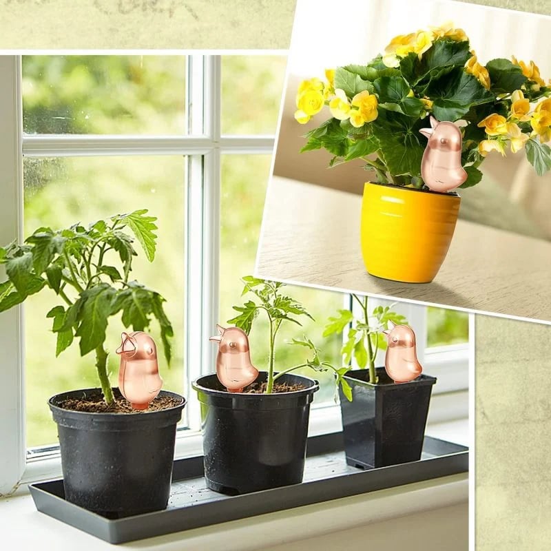2+1 GRATIS | BloomFeeder - Automatischer Blumengießer Typ Vogelhäuschen