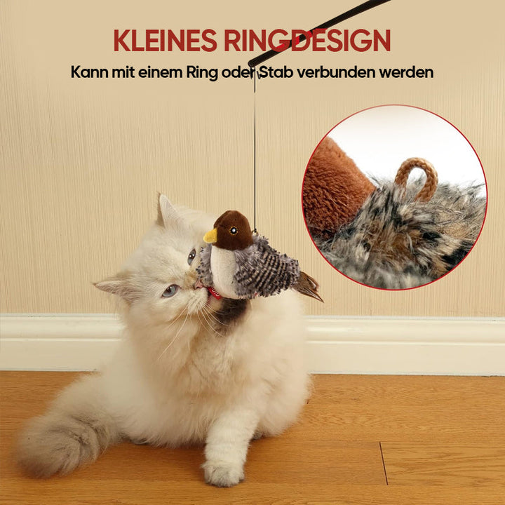 50% RABATT | BirdToy™ - Der sichere Spielgefährte für Ihre Katze! [Letzter Tag Rabatt]