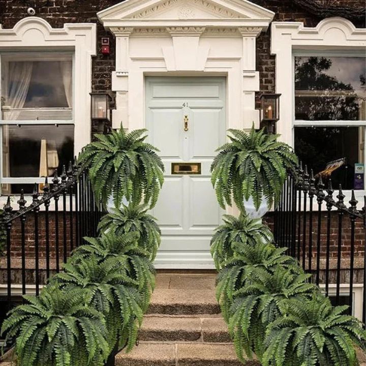 EverFoliage™ – Immergrüner Boston-Farn für ein natürliches Ambiente!