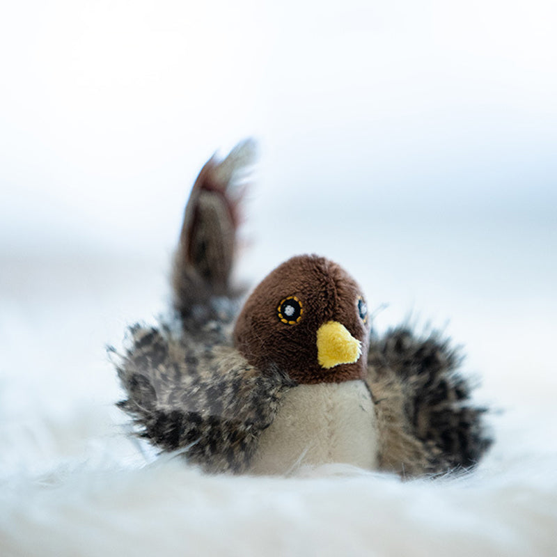 50% RABATT | BirdToy™ - Der sichere Spielgefährte für Ihre Katze! [Letzter Tag Rabatt]