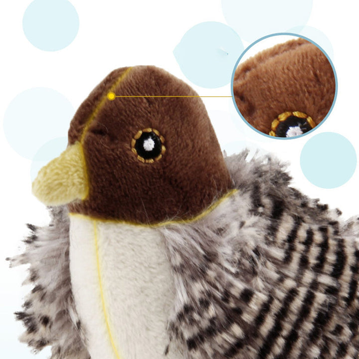 50% RABATT | BirdToy™ - Der sichere Spielgefährte für Ihre Katze! [Letzter Tag Rabatt]