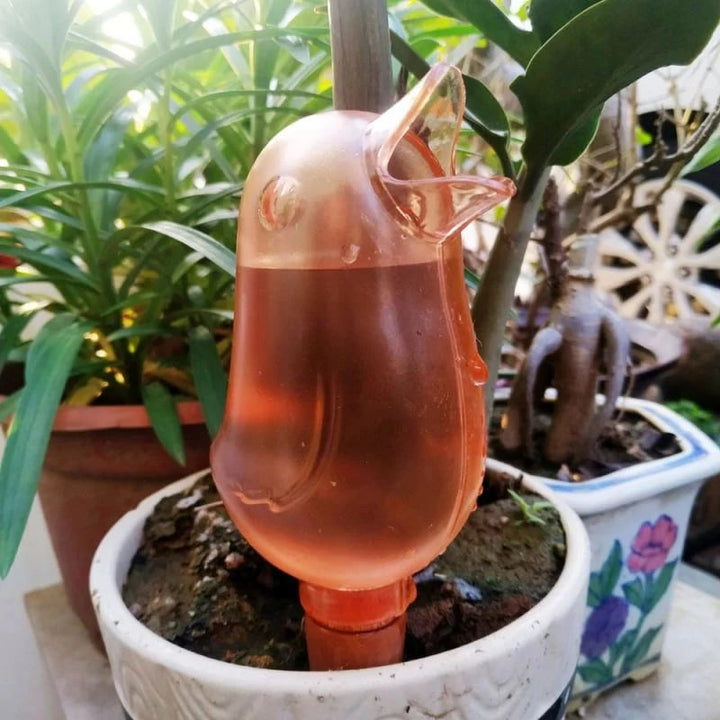 2+1 GRATIS | BloomFeeder - Automatischer Blumengießer Typ Vogelhäuschen