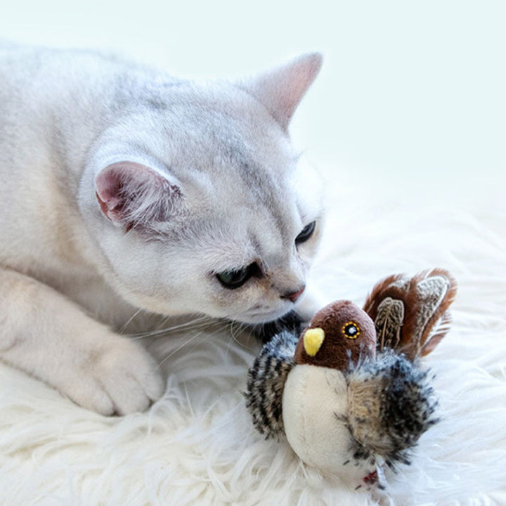 50% RABATT | BirdToy™ - Der sichere Spielgefährte für Ihre Katze! [Letzter Tag Rabatt]