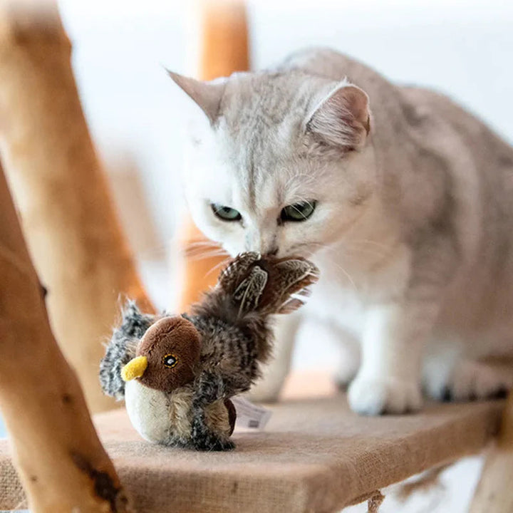50% RABATT | BirdToy™ - Der sichere Spielgefährte für Ihre Katze! [Letzter Tag Rabatt]