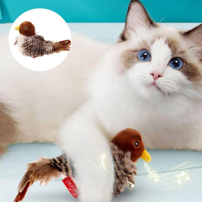 50% RABATT | BirdToy™ - Der sichere Spielgefährte für Ihre Katze! [Letzter Tag Rabatt]