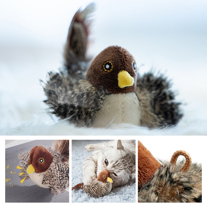 50% RABATT | BirdToy™ - Der sichere Spielgefährte für Ihre Katze! [Letzter Tag Rabatt]