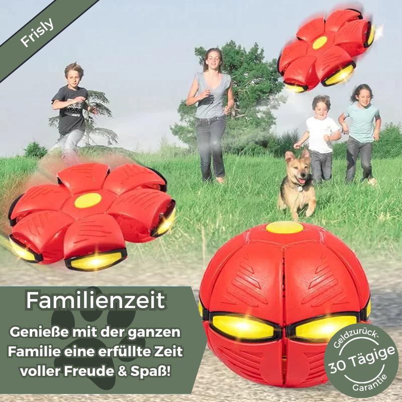Frisly - Ein Spiel-Abenteuer für jede Fellnase