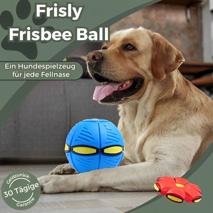 Frisly - Ein Spiel-Abenteuer für jede Fellnase