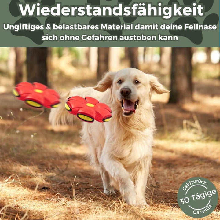 Frisly - Ein Spiel-Abenteuer für jede Fellnase