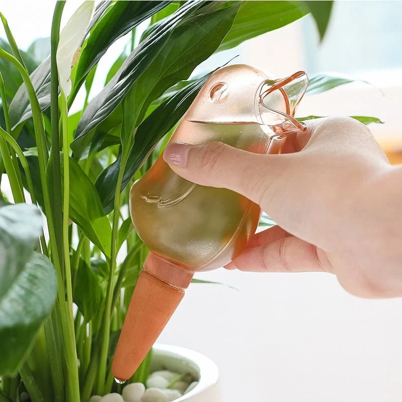 2+1 GRATIS | BloomFeeder - Automatischer Blumengießer Typ Vogelhäuschen