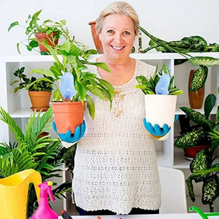 2+1 GRATIS | BloomFeeder - Automatischer Blumengießer Typ Vogelhäuschen