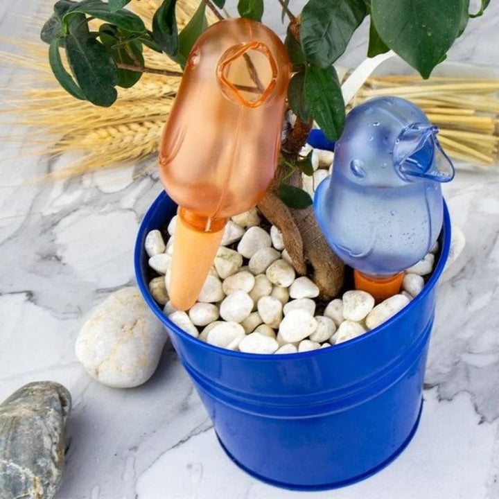 2+1 GRATIS | BloomFeeder - Automatischer Blumengießer Typ Vogelhäuschen
