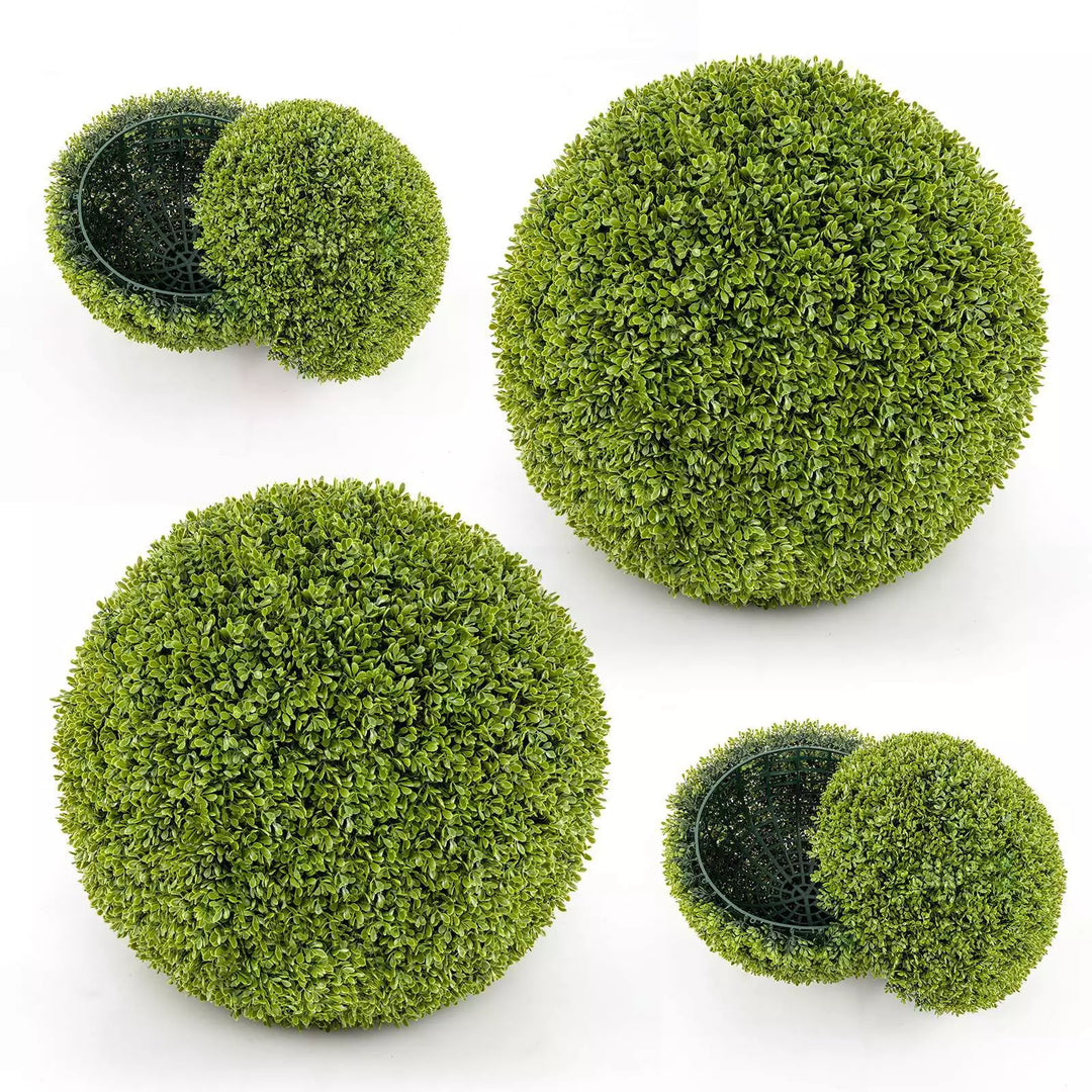 1+1 GRATIS | GreenSphere – Immergrüner Charme für Haus &amp; Garten