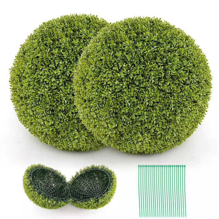 1+1 GRATIS | GreenSphere – Immergrüner Charme für Haus &amp; Garten