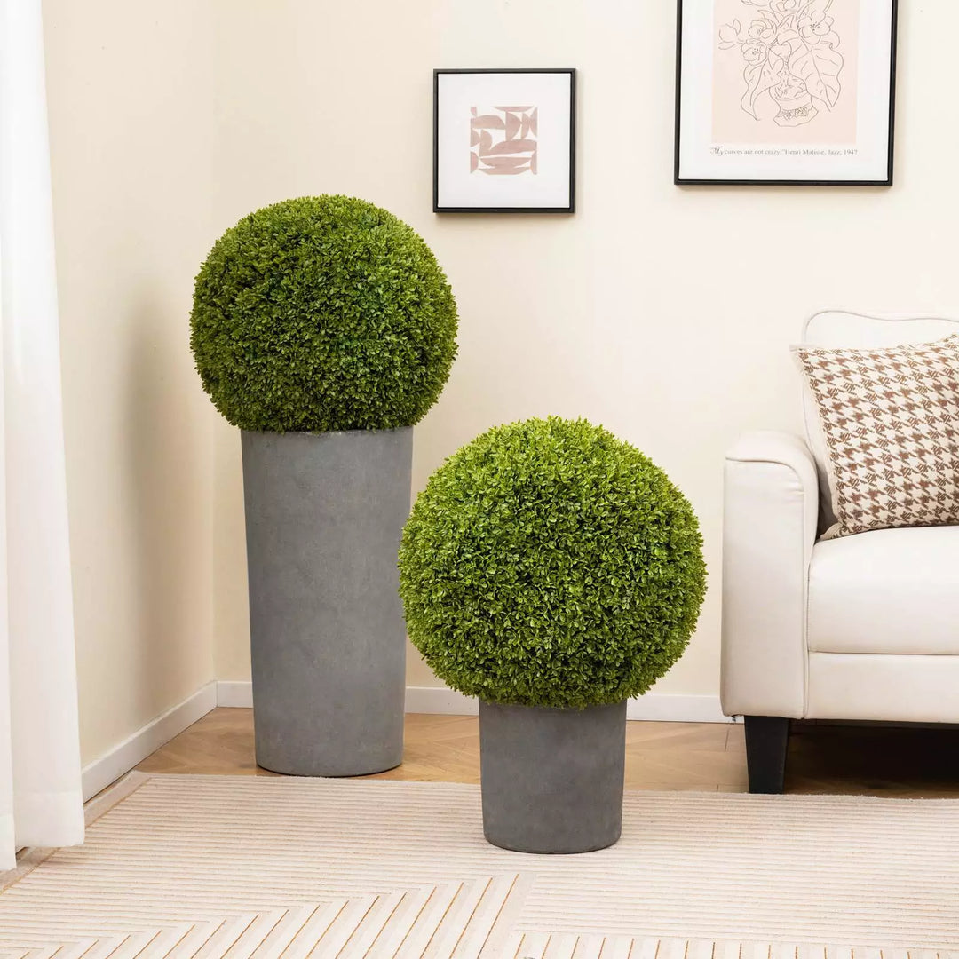 1+1 GRATIS | GreenSphere – Immergrüner Charme für Haus &amp; Garten