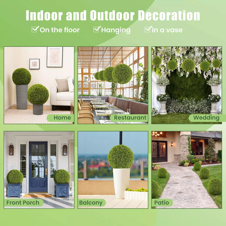 1+1 GRATIS | GreenSphere – Immergrüner Charme für Haus &amp; Garten